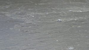 Muster Schiefer „Rustikal“