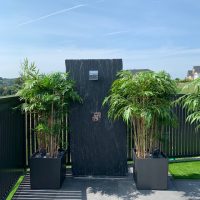 IMG_2105-200x200 Stelen