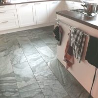 DSCF1910-silver-shine02-scaled-200x200 Silver Shine