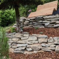 PXL_20210604_145827338-scaled-200x200 Hallo Frühling