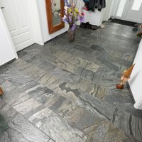 SG2_6980-200x200 Silver Shine